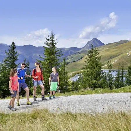 Bergbauernhof Seetalhof Hollersbach im Pinzgau